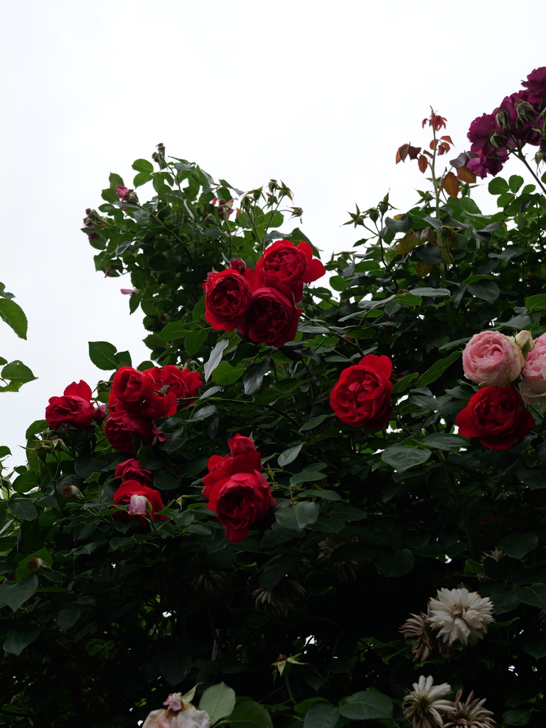 2025-05-24 09_16№(0939).JPG