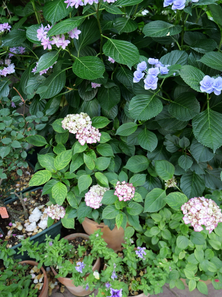 2025-05-28 07_56№(0111).JPG