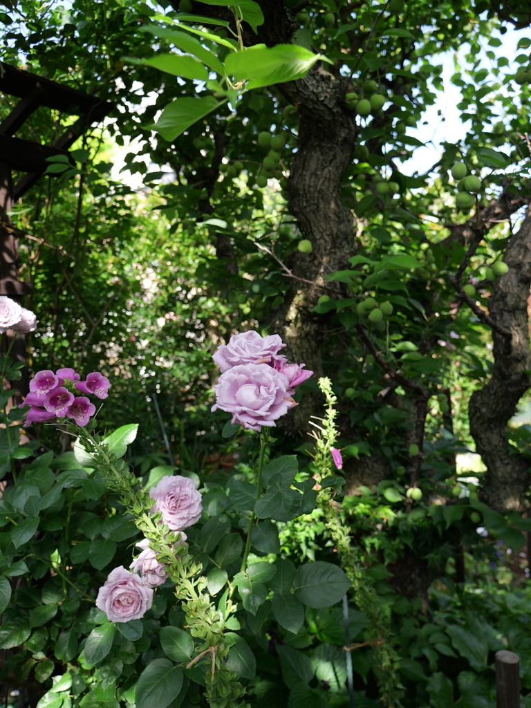 2025-05-28 08_01№(0242).JPG