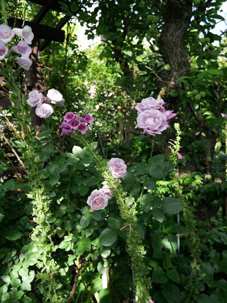 2025-05-28 08_01№(0243).JPG