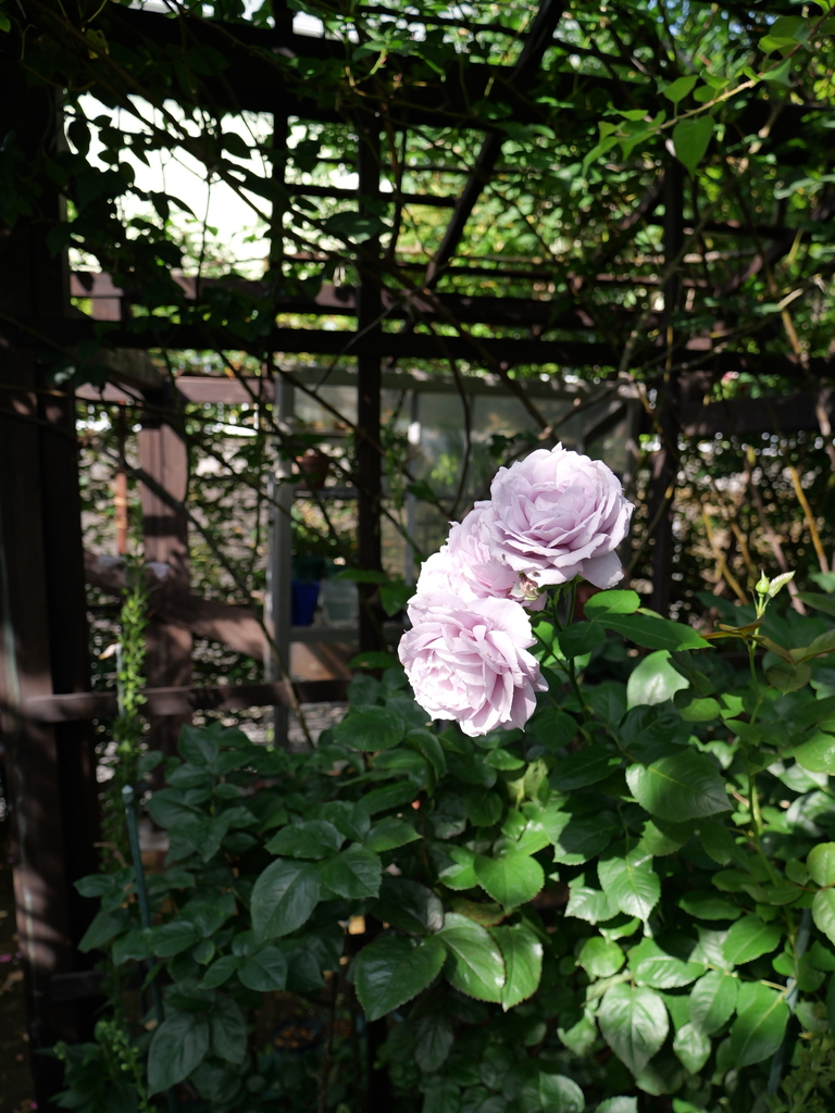 2025-05-28 08_01№(0252).JPG
