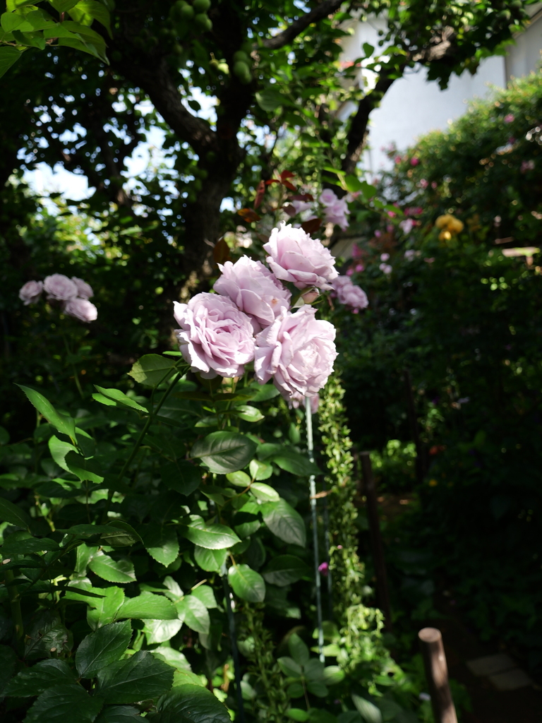 2025-05-28 08_01№(0255).JPG