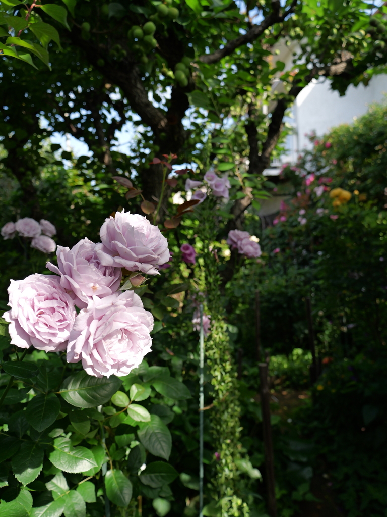 2025-05-28 08_01№(0261).JPG