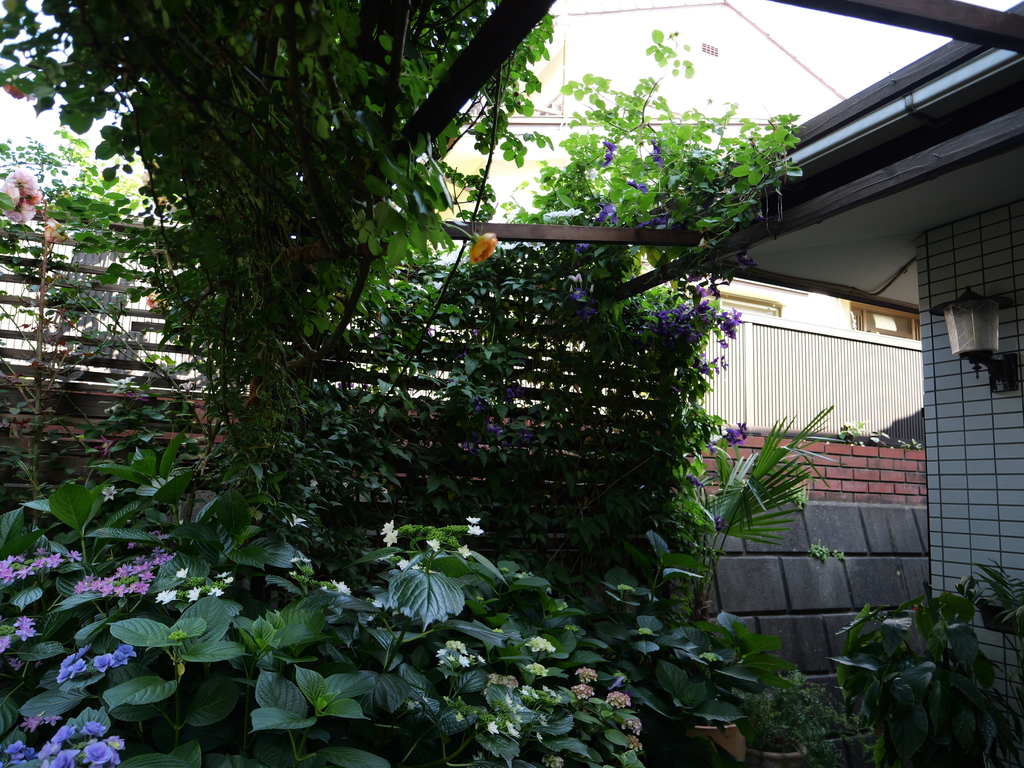 2025-05-28 08_37№(0430).JPG