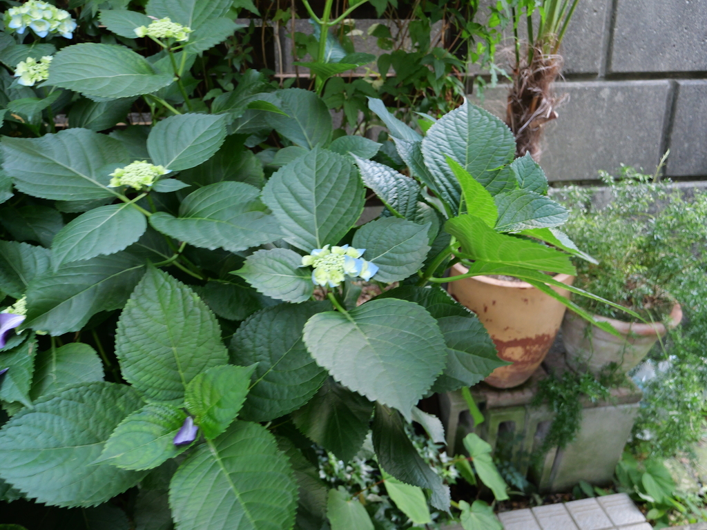2025-05-28 08_37№(0443).JPG
