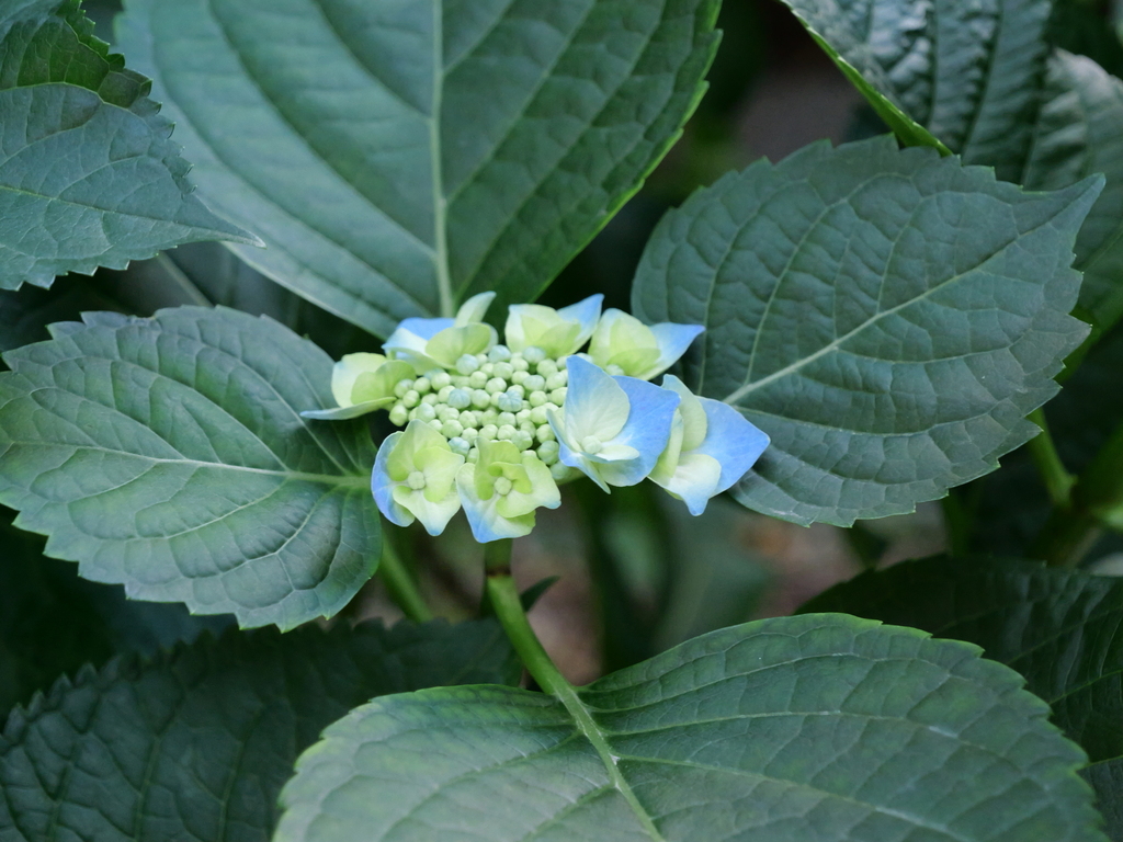 2025-05-28 08_37№(0444).JPG