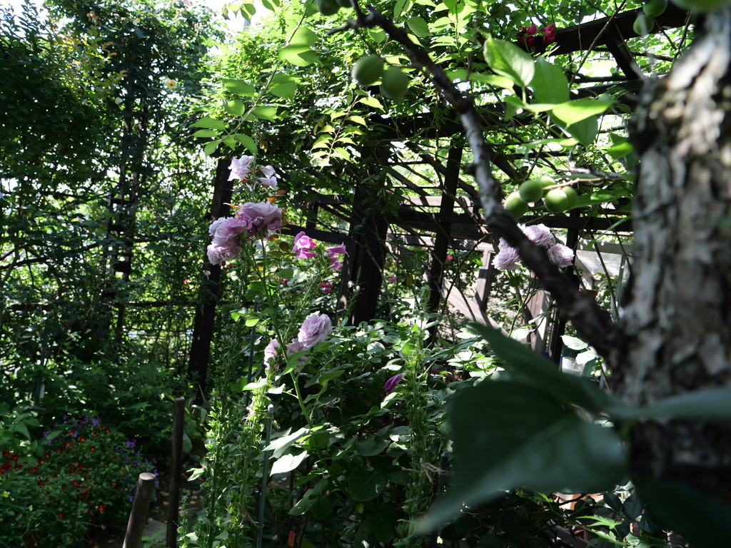 2025-05-28 08_40№(0534).JPG