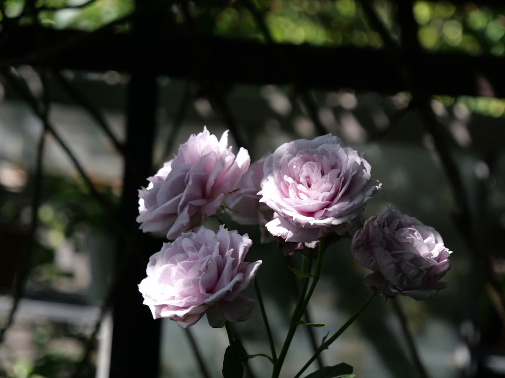 2025-05-28 08_40№(0536).JPG