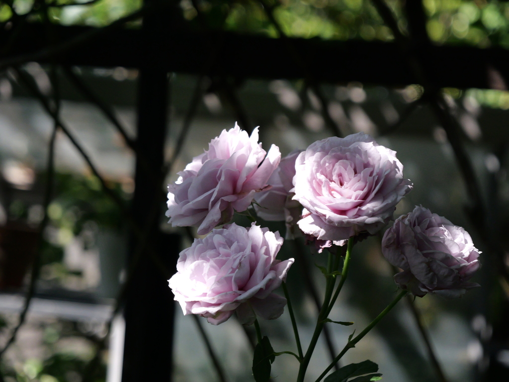 2025-05-28 08_40№(0537).JPG