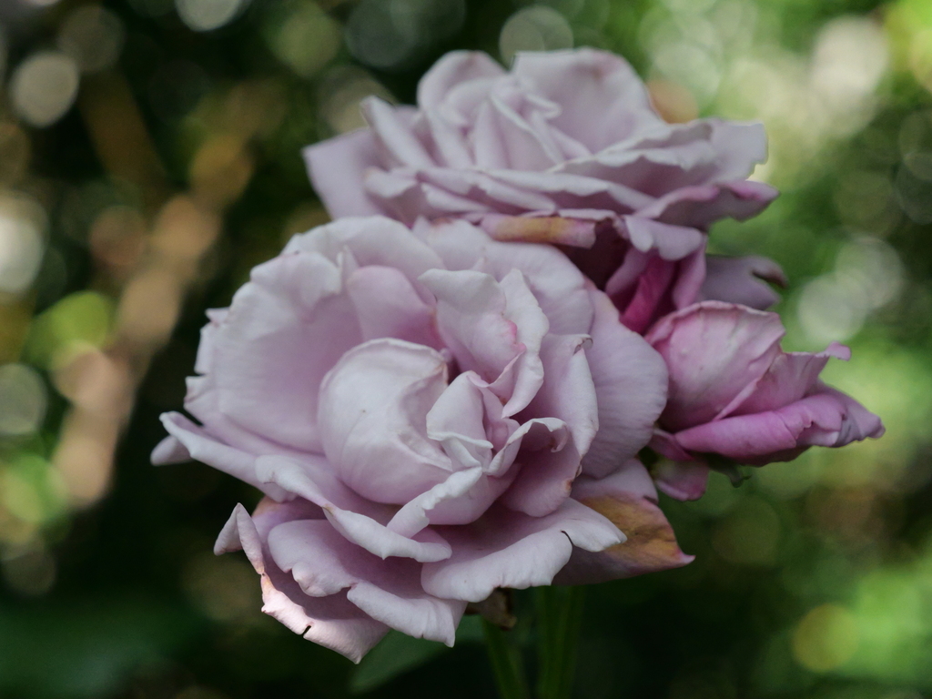 2025-05-28 08_40№(0539).JPG