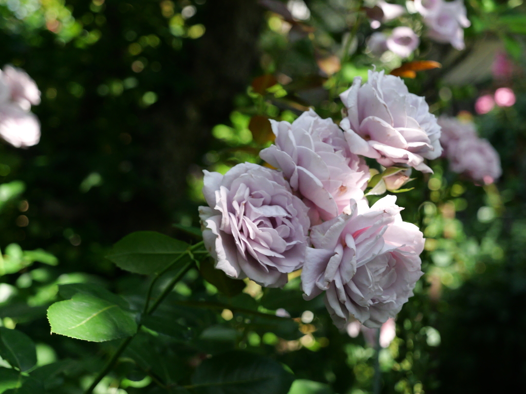2025-05-28 08_40№(0545).JPG