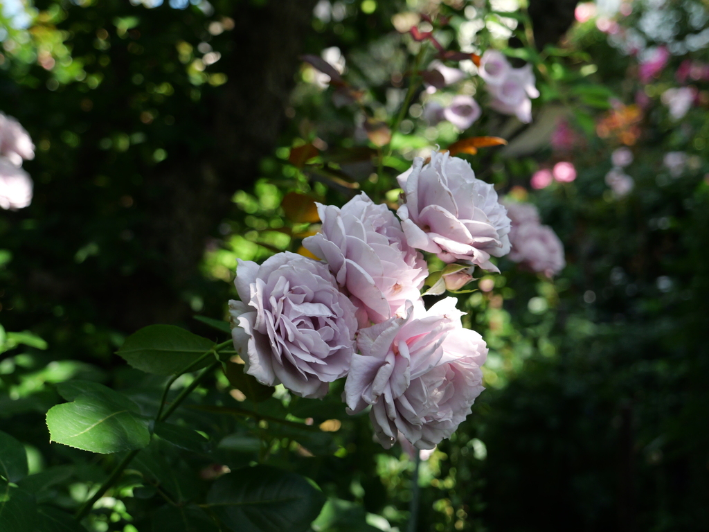 2025-05-28 08_40№(0547).JPG