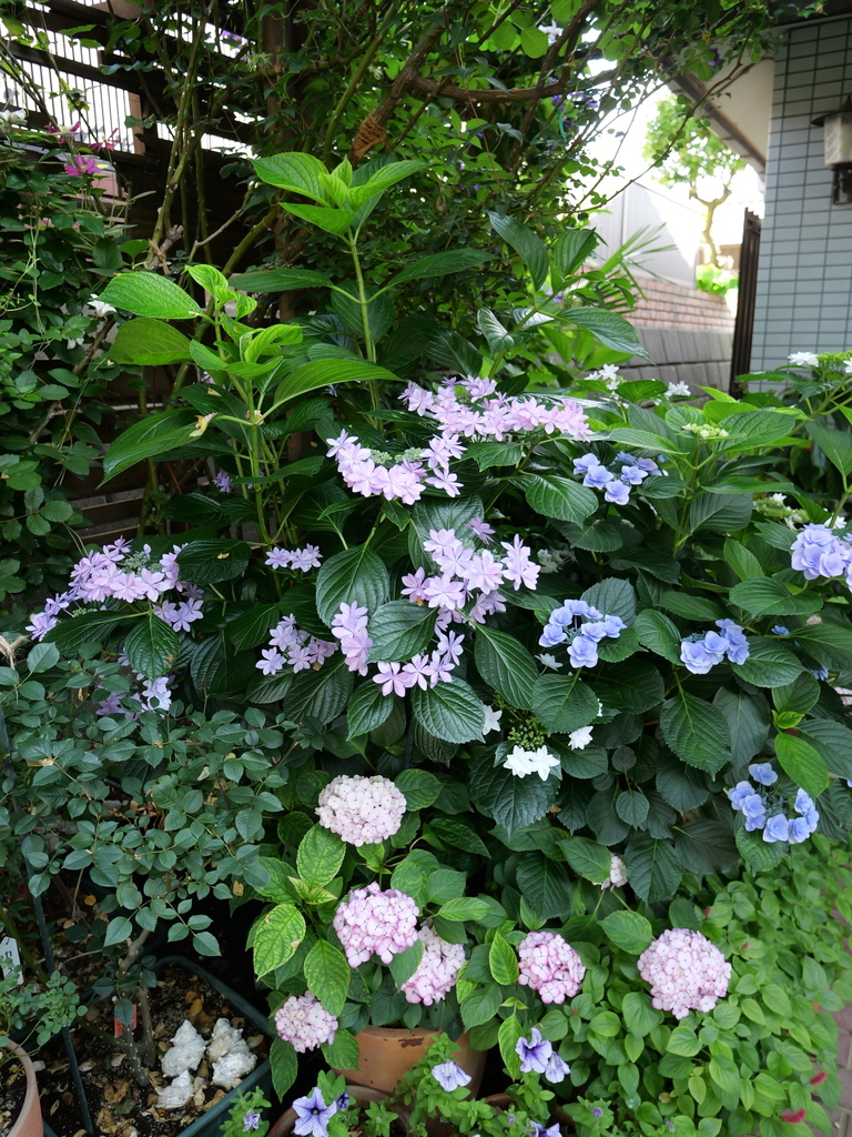 2025-06-05 08_26№(0184).JPG