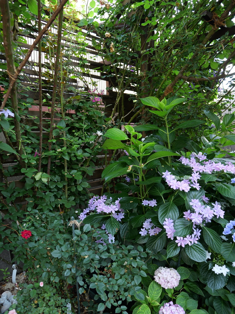 2025-06-05 08_26№(0186).JPG