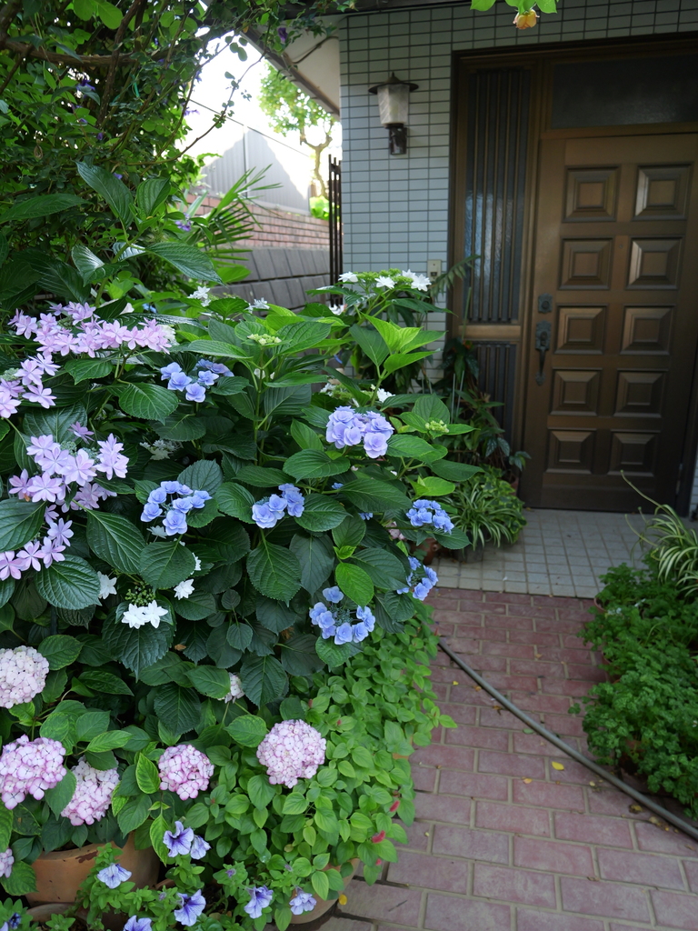 2025-06-05 08_26№(0187).JPG