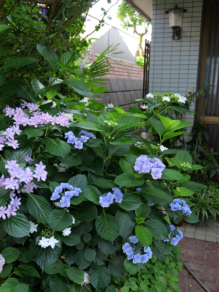 2025-06-05 08_26№(0188).JPG