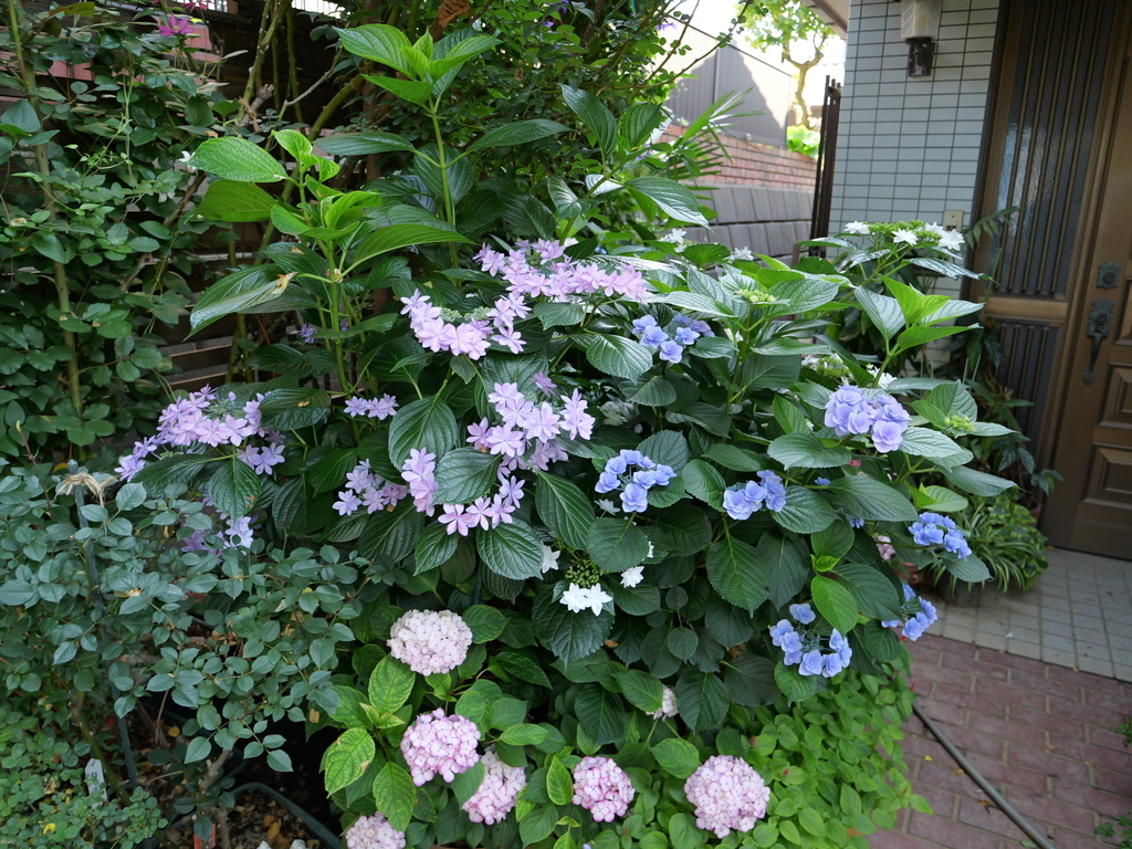 2025-06-05 08_26№(0189).JPG