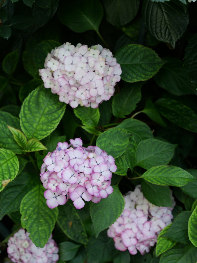 2025-06-05 08_26№(0209).JPG