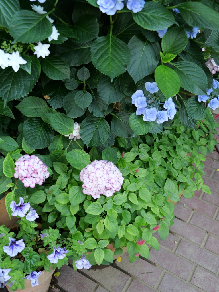 2025-06-05 08_26№(0211).JPG