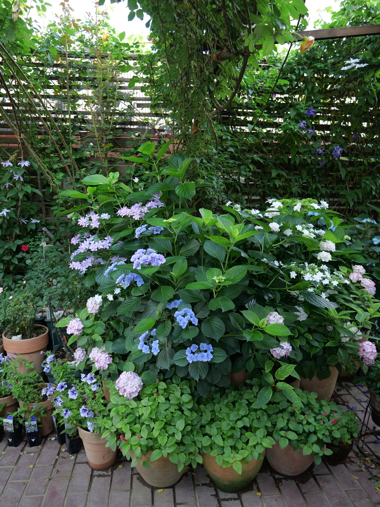 2025-06-05 08_27№(0234).JPG