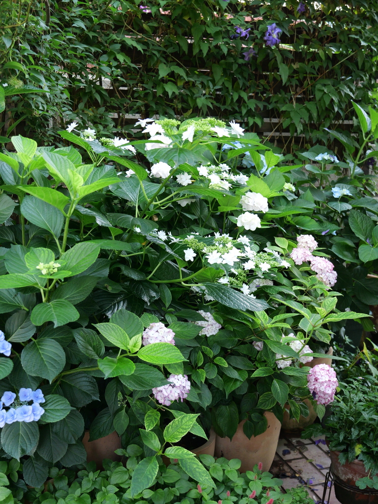 2025-06-05 08_27№(0237).JPG
