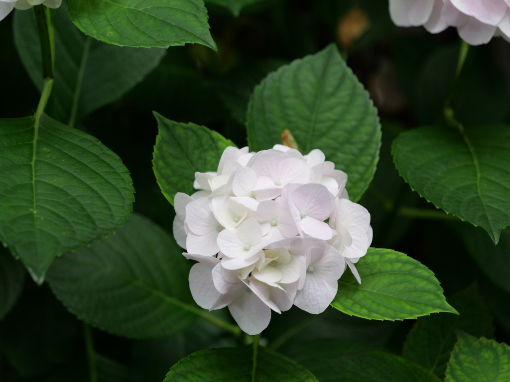2025-06-07 08_06№(0144).JPG