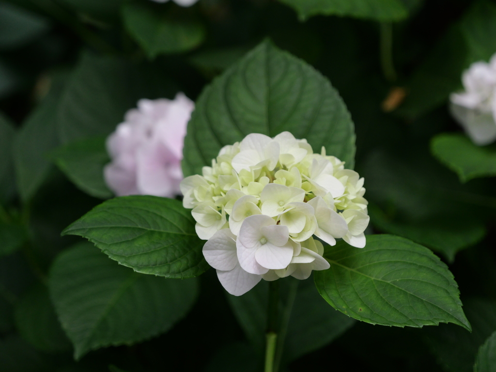 2025-06-07 08_06№(0145).JPG