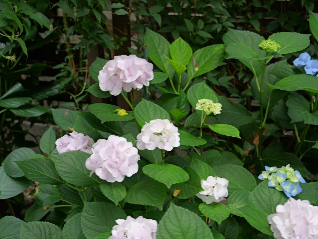 2025-06-07 08_06№(0147).JPG