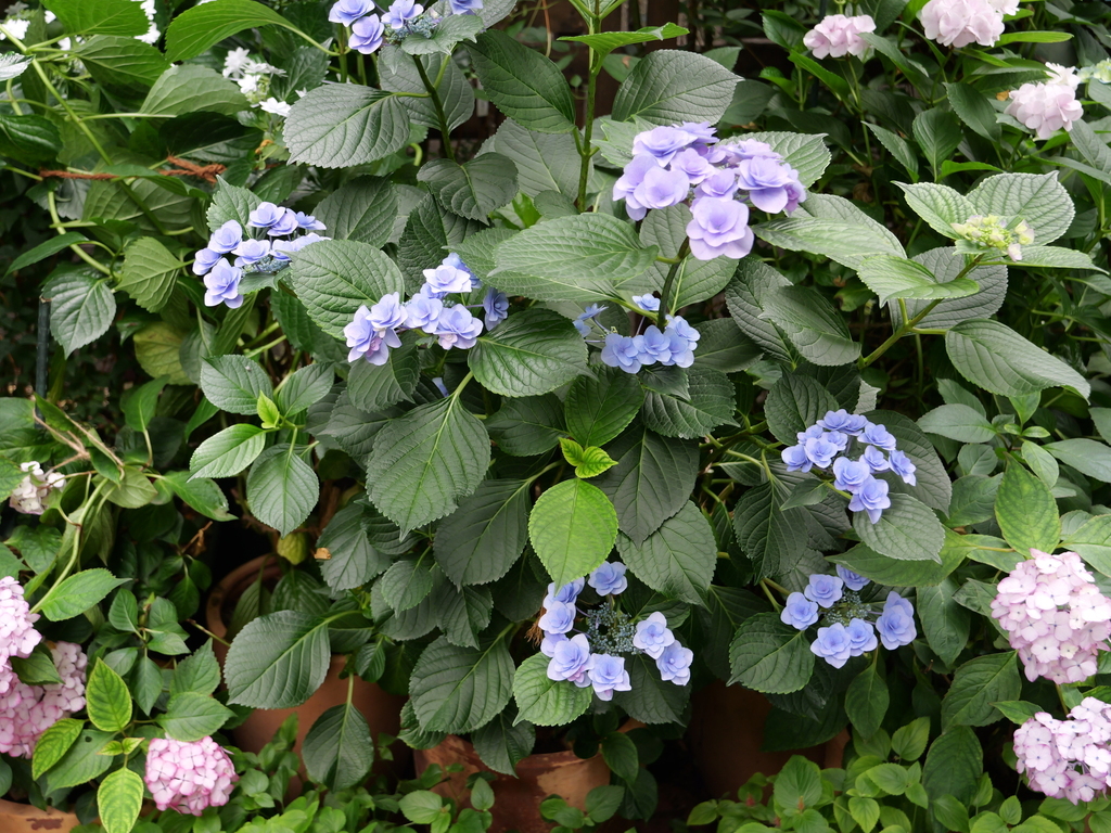 2025-06-07 08_06№(0162).JPG