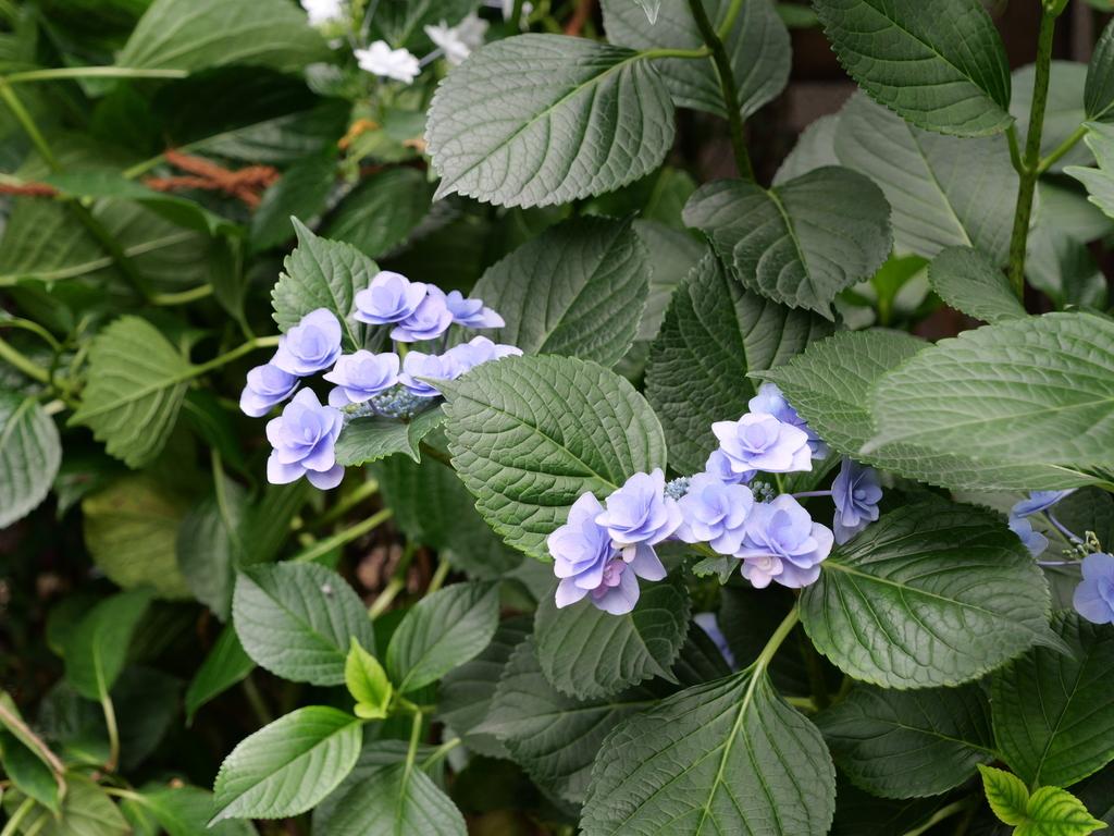 2025-06-07 08_06№(0163).JPG