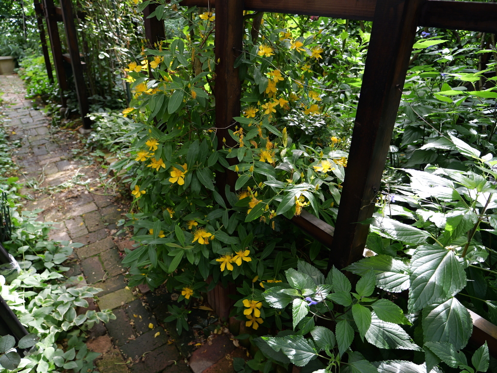2025-06-07 08_12№(0319).JPG