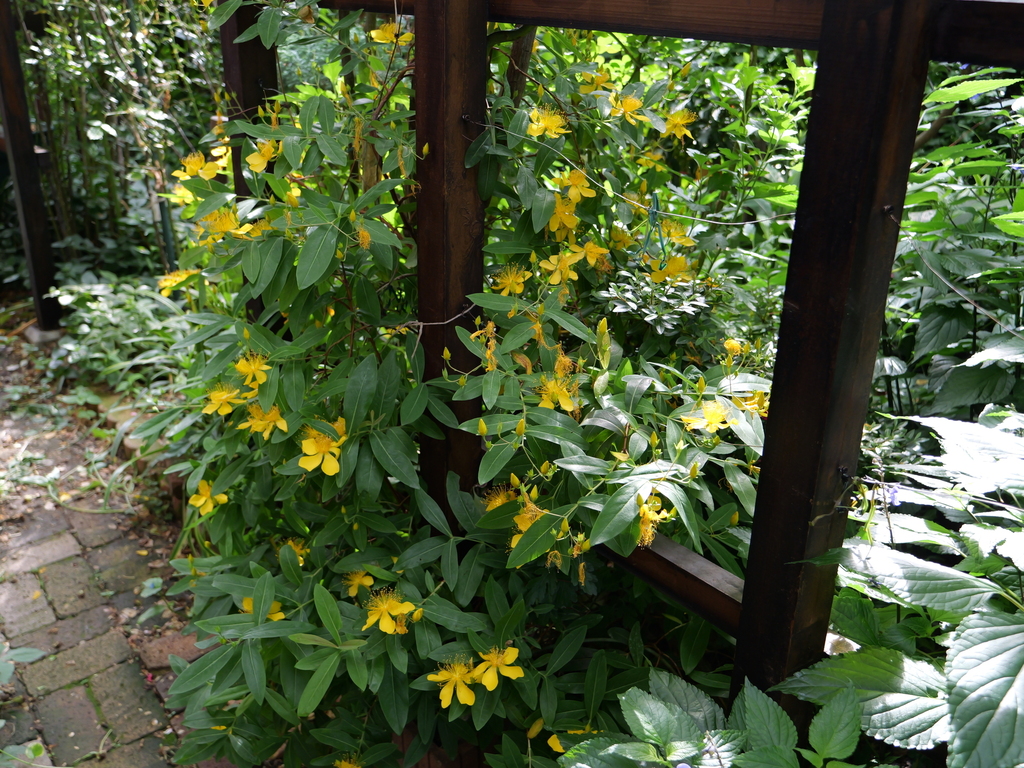 2025-06-07 08_12№(0324).JPG