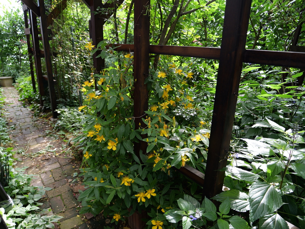 2025-06-07 08_12№(0325).JPG
