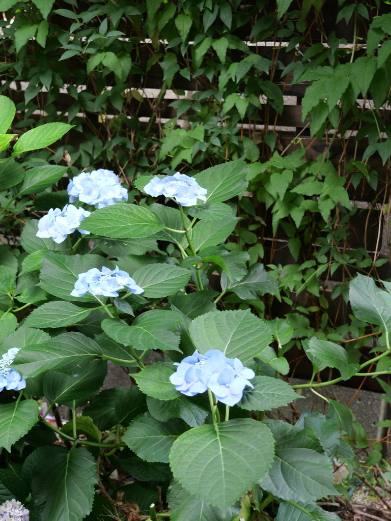 2025-06-07 09_02№(0532).JPG