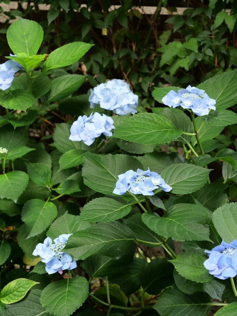 2025-06-07 09_02№(0533).JPG