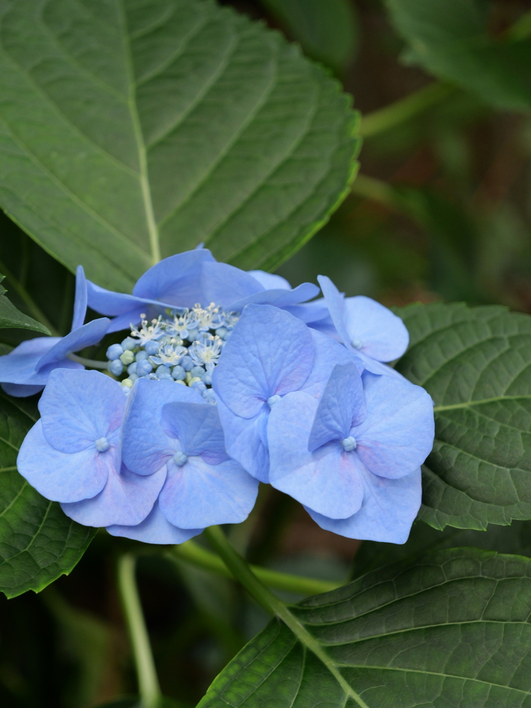2025-06-07 09_02№(0537).JPG