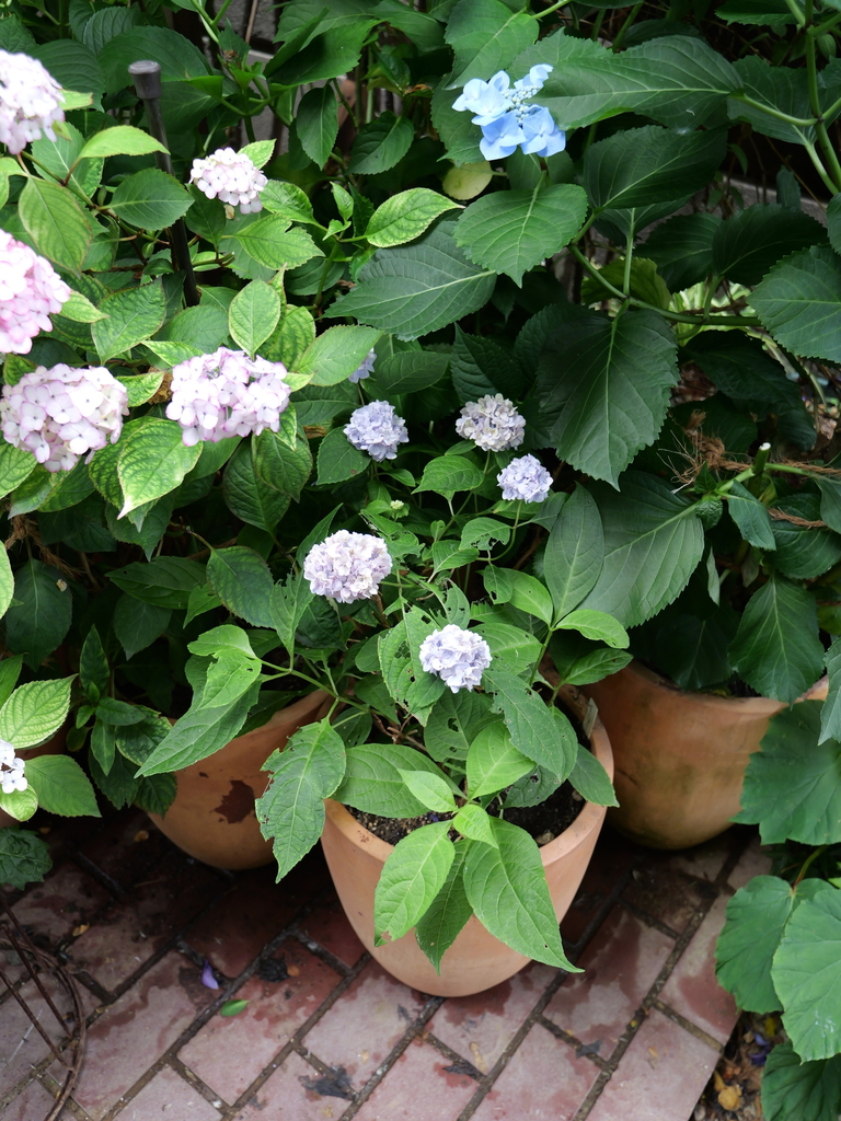 2025-06-07 09_03№(0544).JPG