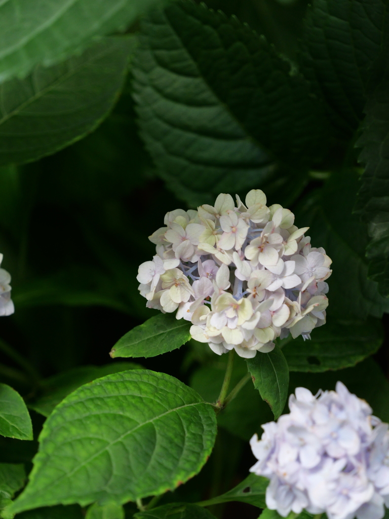 2025-06-07 09_03№(0546).JPG