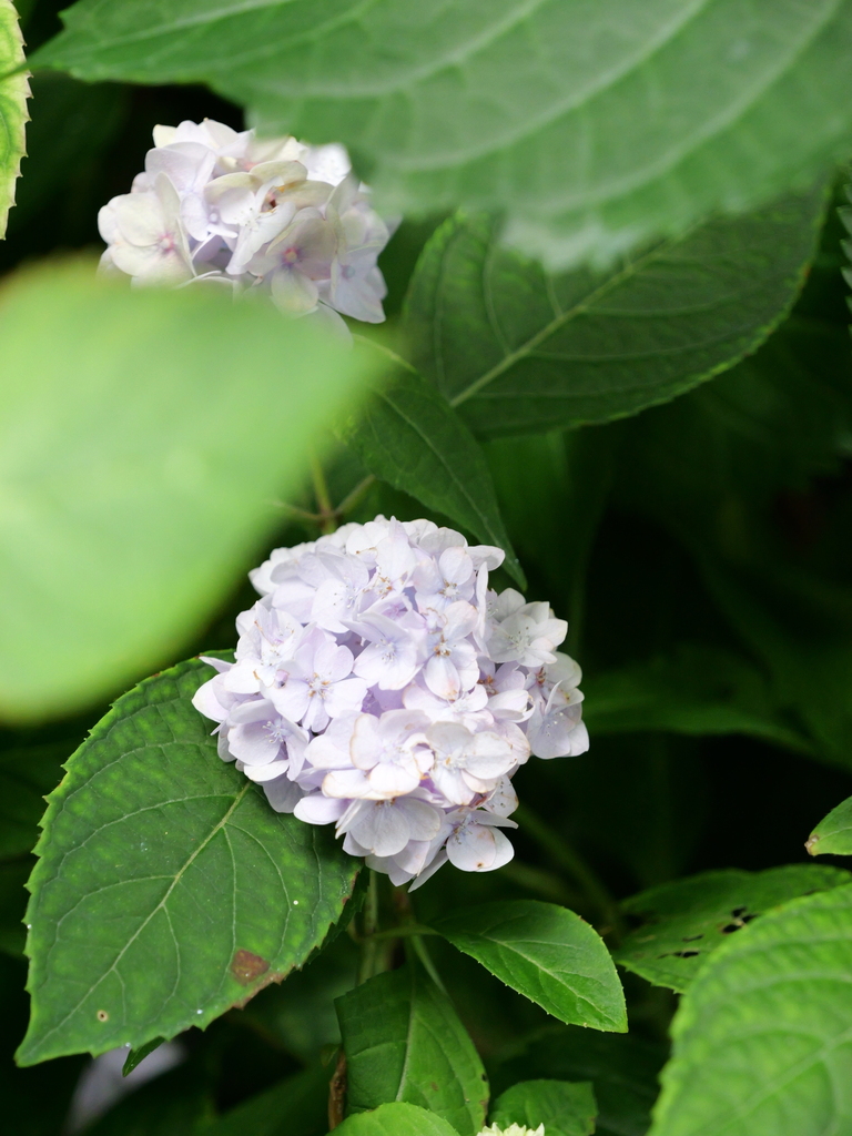 2025-06-07 09_03№(0547).JPG