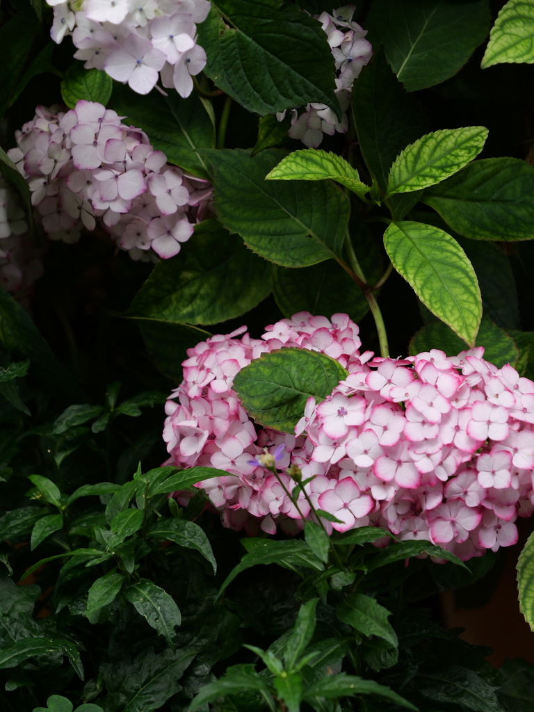 2025-06-07 09_03№(0563).JPG