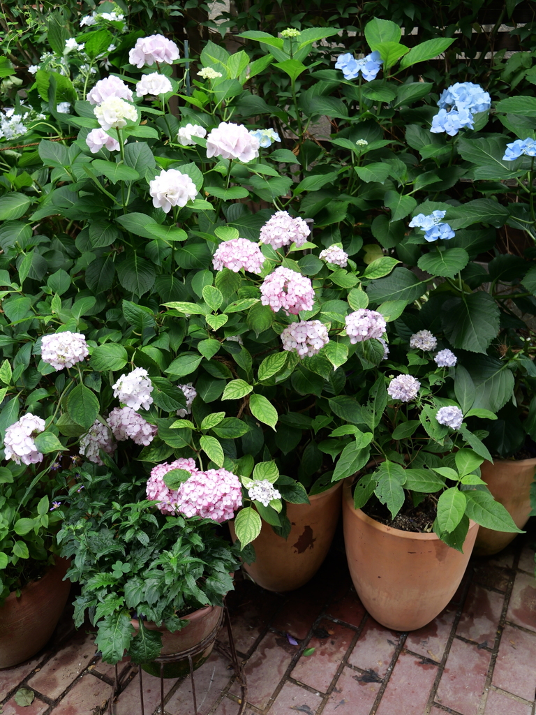 2025-06-07 09_03№(0566).JPG