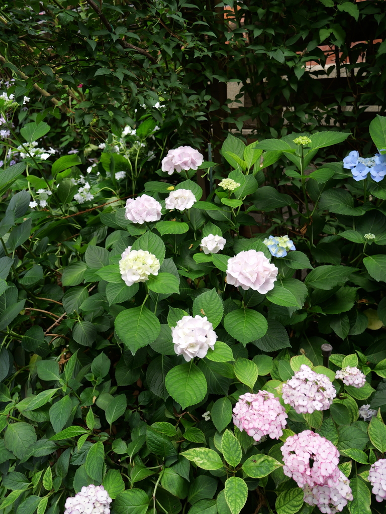 2025-06-07 09_03№(0578).JPG