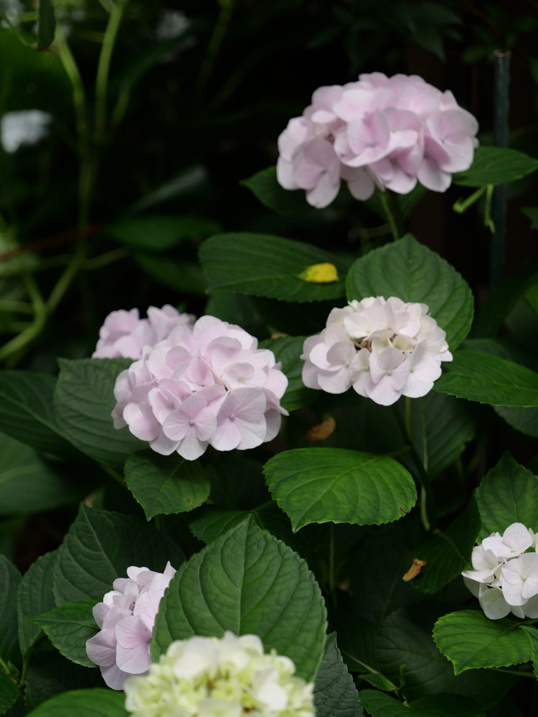 2025-06-07 09_04№(0581).JPG