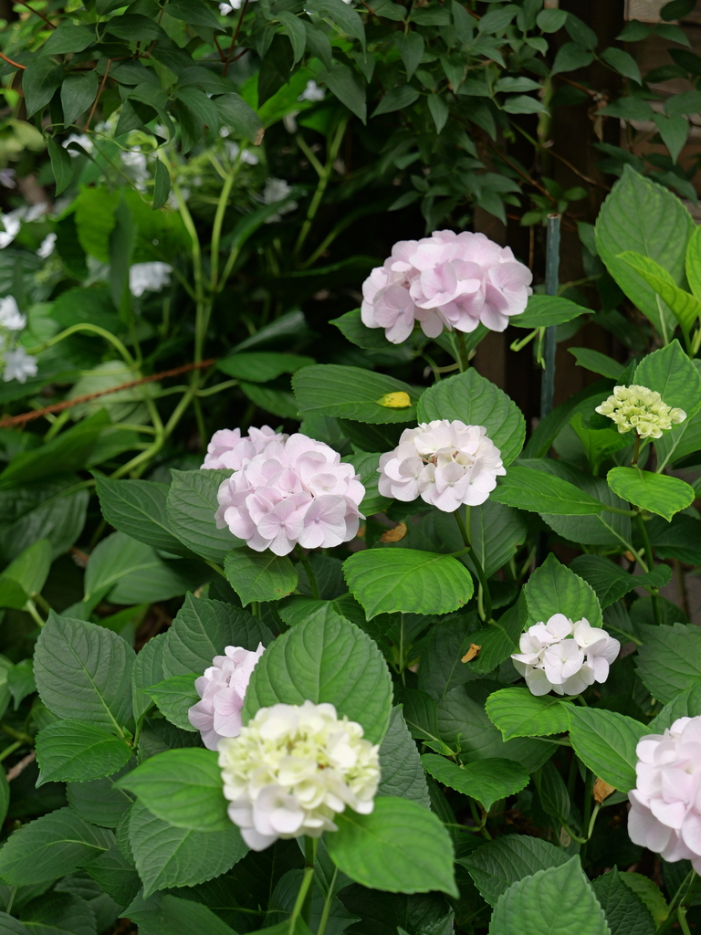 2025-06-07 09_04№(0582).JPG