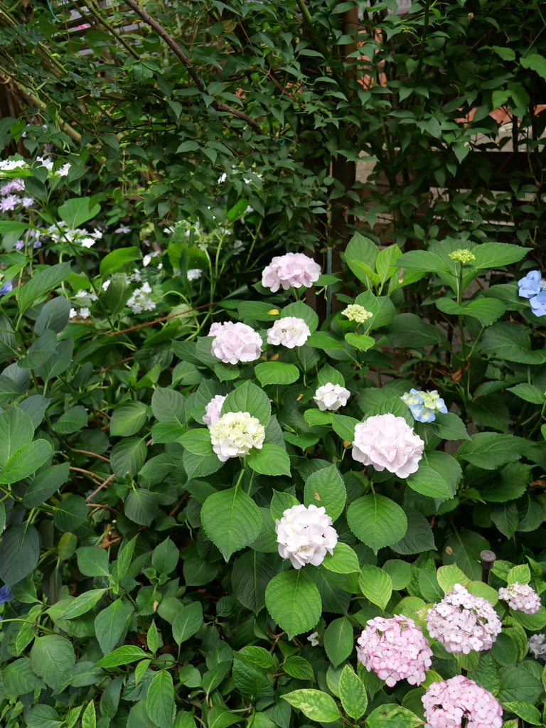 2025-06-07 09_04№(0583).JPG