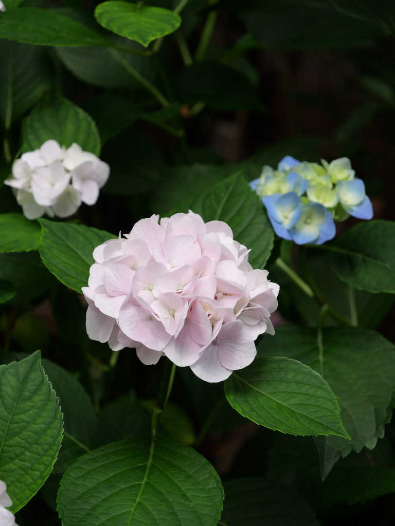 2025-06-07 09_04№(0584).JPG