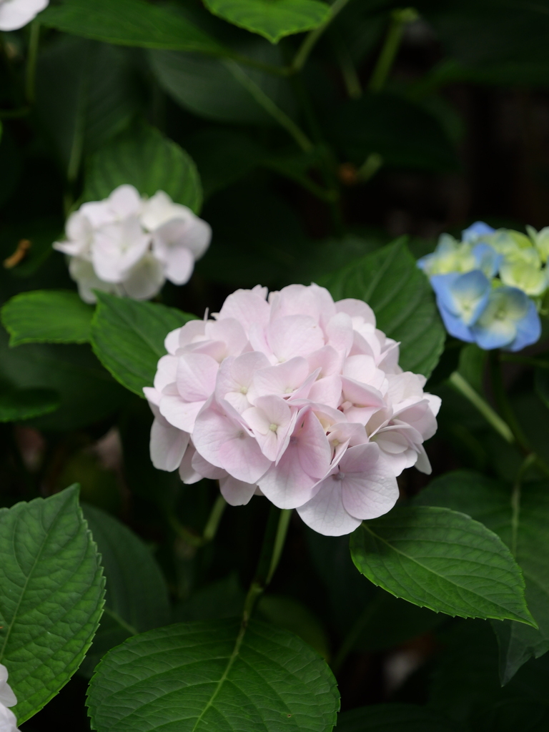 2025-06-07 09_04№(0589).JPG