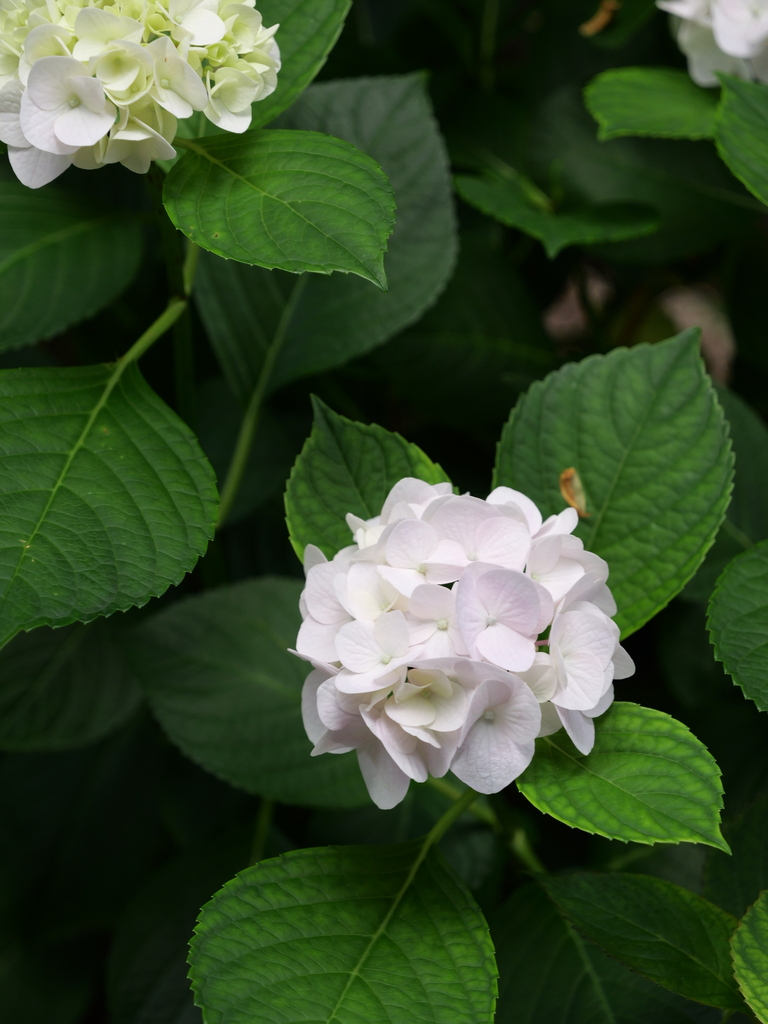 2025-06-07 09_04№(0590).JPG