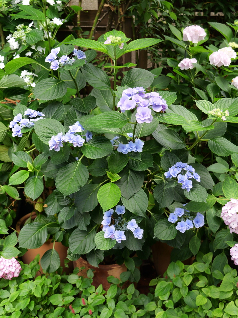 2025-06-07 09_04№(0596).JPG