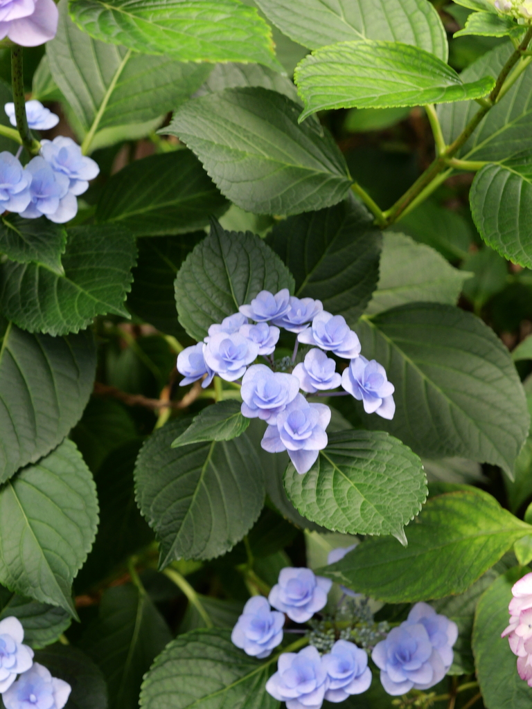 2025-06-07 09_04№(0598).JPG